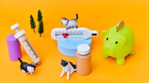 Représentation d'une assurance