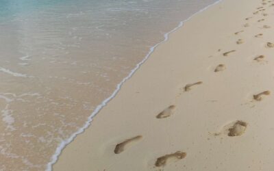 MACIF vs Generali : Qui offre la meilleure couverture pour les voyages à l&rsquo;étranger ?